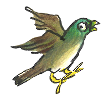Vogel